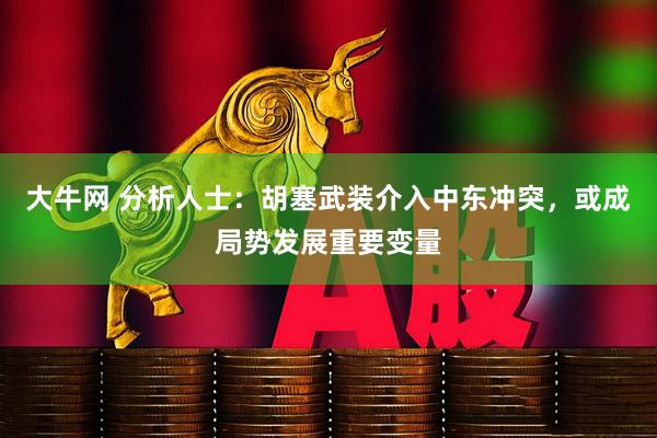 大牛网 分析人士：胡塞武装介入中东冲突，或成局势发展重要变量