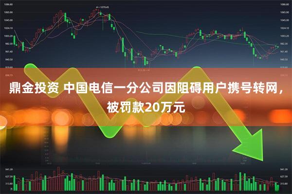 鼎金投资 中国电信一分公司因阻碍用户携号转网，被罚款20万元