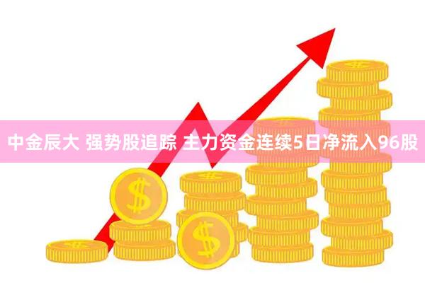 中金辰大 强势股追踪 主力资金连续5日净流入96股