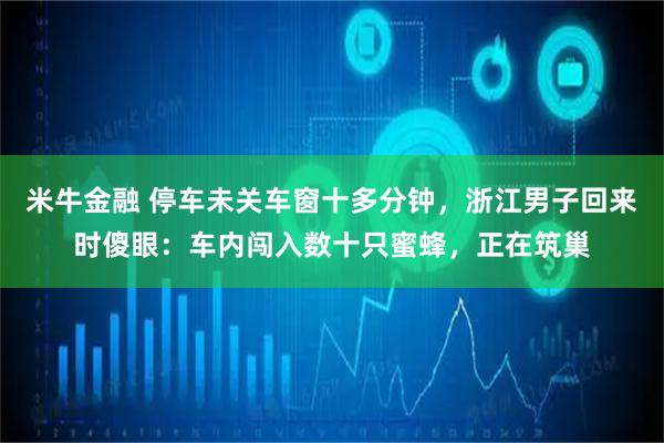 米牛金融 停车未关车窗十多分钟，浙江男子回来时傻眼：车内闯入数十只蜜蜂，正在筑巢